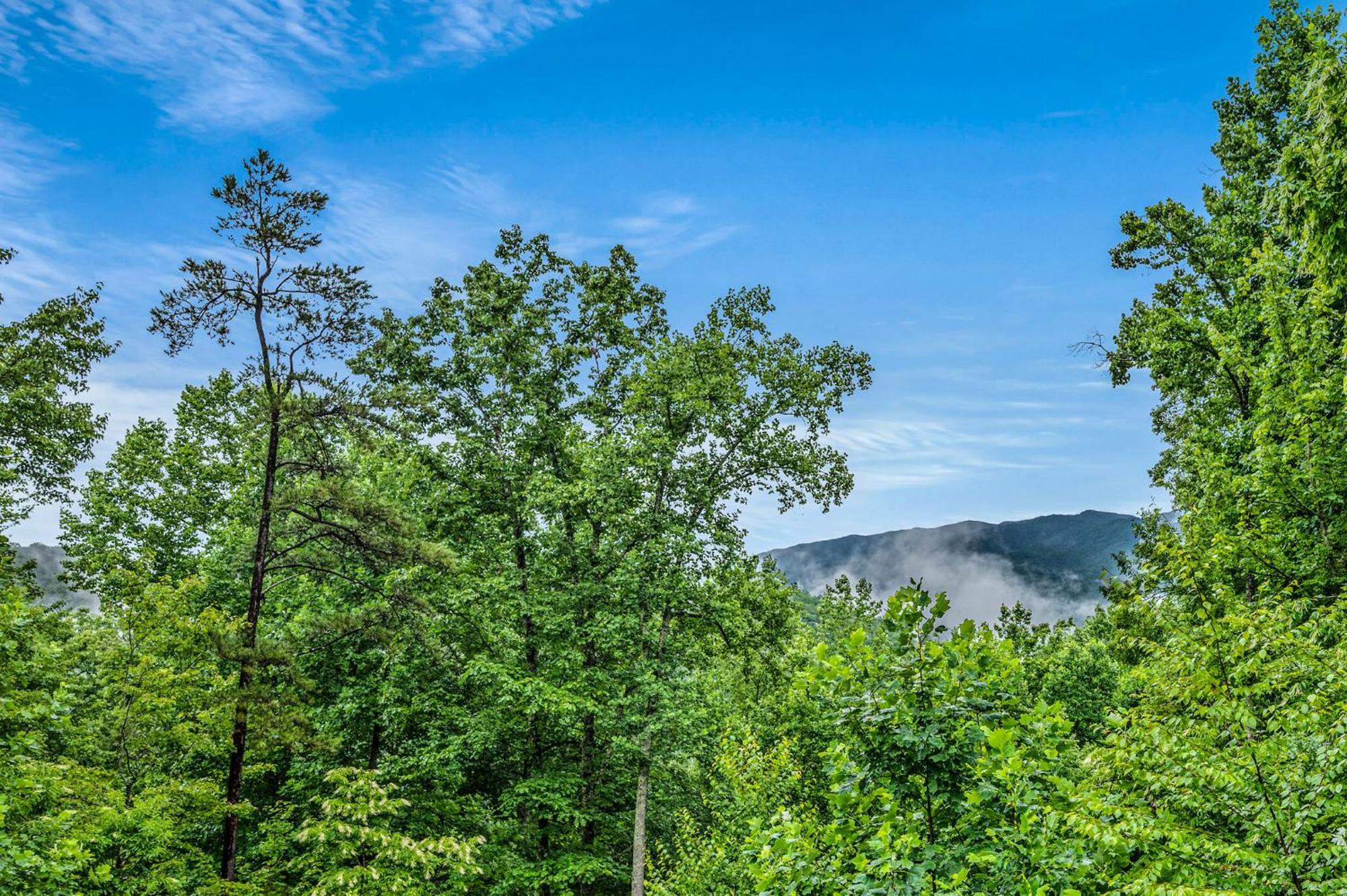 Mountain Mist Villa Sevierville Exterior photo